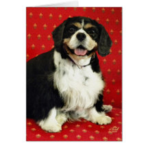 PERRO DE AGUAS DE REY CHARLES ARROGANTE FELICITACION 