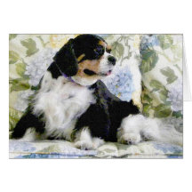 PERRO DE AGUAS DE REY CHARLES ARROGANTE FELICITACION 