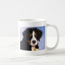 Perro de montaña de Bernese - foto linda del perri Taza