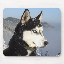 Perro de perrito del husky siberiano en cojín de r tapetes de ratón