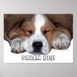 Perro de perrito el dormir de St Bernard: ¡GRANDE  Impresiones