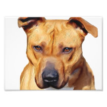 Perro de Pitbull Arte Con Fotos