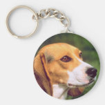 Perro del beagle llavero personalizado