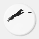 Perro del disco imán para frigorífico