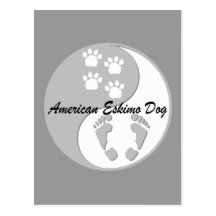 perro esquimal americano de yang del yin postales