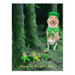 Perro, gato y Leprechauns irlandeses divertidos Tarjeta Postal