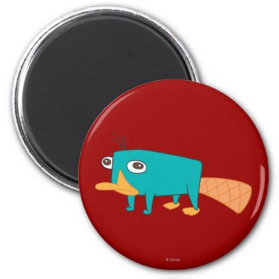 Perry the Platypus magnets