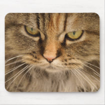 Persain kitty portrait mousepads