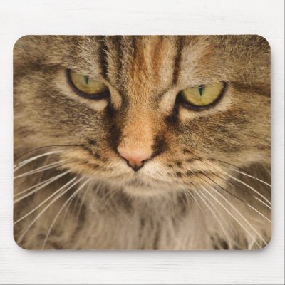 Persain kitty portrait mouse pad by jbouzou