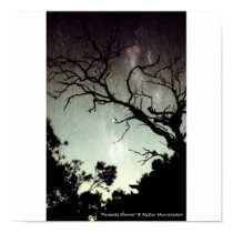 Perseids Shower Small Poster posters