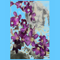Persephone Floral t-shirts
