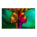 persephone green dream posters