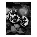 Persephone's Temptation posters