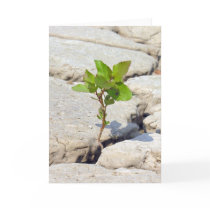 perserverance cards