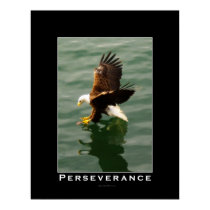 PERSEVERANCE Bald Eagle Motivational Art Poster posters