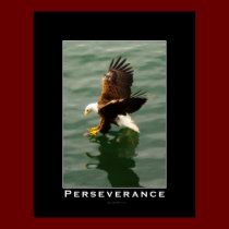 PERSEVERANCE Bald Eagle Motivational Art Poster posters