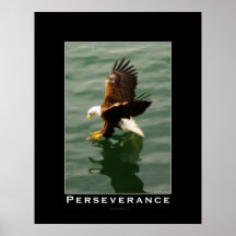 Eagle Motivational Poster on Perseverance Bald Eagle Motivational Art Poster