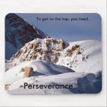 Perseverance mousepads