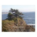 Perseverance posters by jhgarey Perseverance posters