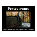 Perseverance Poster posters