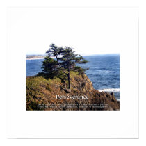 Perseverance posters