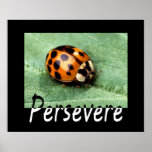 Persevere Print