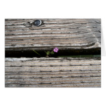 Perseverence Greeting Card
