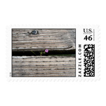 Perseverence Stamps
