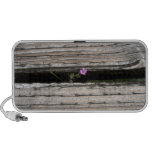 perseverence, courage, pink flower, dock,