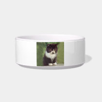 Persian Black and White Kitten Cat Pet Bowl Cat Bowl