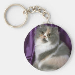 Persian, blue, tortie and white keychains