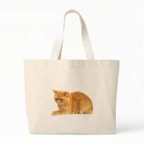 Persian cat bags by mag26s Persian cat bags