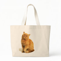 Persian cat bags by mag26s Persian cat bags