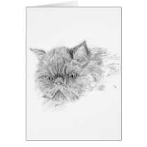 Persian cat card