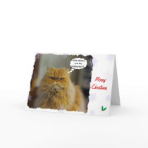 Persian Cat Christmas Card