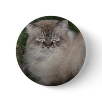 Persian Cat - Cindy buttons