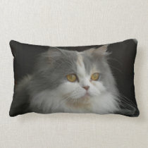 Persian Cat Face American MoJo Pillow pillows