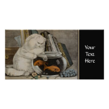 Persian Cat Fishing Photo Greeting Card