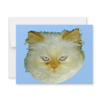 Persian Cat invitations by kphotos Persian Cat invitations