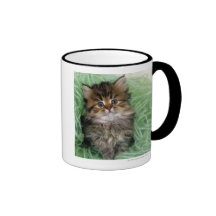Persian cat; is one of the oldest breeds of cat. coffee mugs