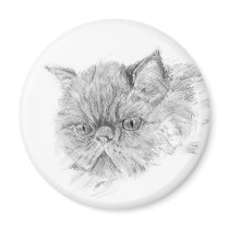 persian cat refrigerator magnets