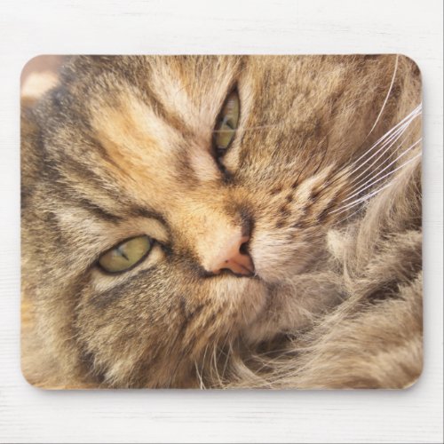 Persian Cat mousepad