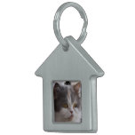 Persian Cat Pet Tag