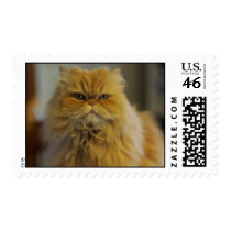 Persian Cat Postage Stamps