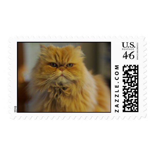 Persian Cat Postage Stamps