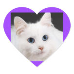 PERSIAN CAT HEART STICKER