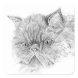 Persian cat stickers