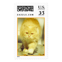 Persian cat walking postage