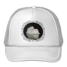 Persian Cat with Jade Green Eyes Mesh Hat