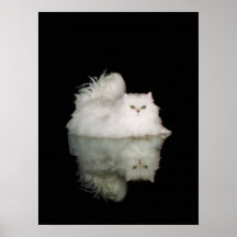 Persian Cat with Jade Green Eyes Print